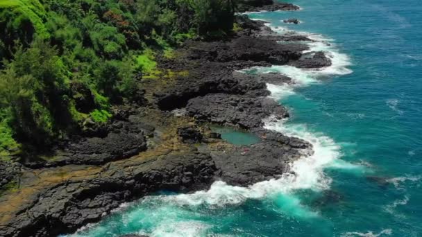 Hawaii Aerial Flying Rocky Reef Kauai Hawaiian Jungle Oceano Pacifico — Video Stock