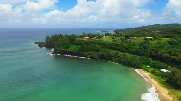 Hawaii Havadan Uçma Kauai Hawaii Ormanı Pasifik Okyanusu Nanılmaz Manzara — Stok video