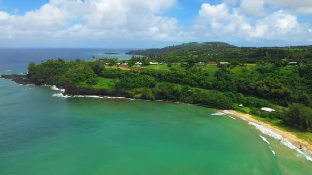 Havaj Letecké Létání Úžasná Krajina Kauai Tichý Oceán Havajská Džungle — Stock video
