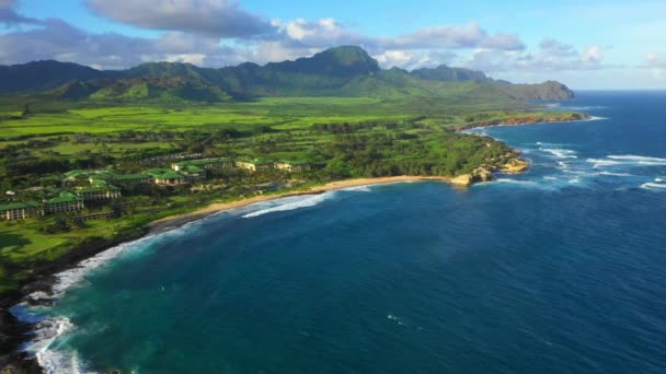 Χαβάη Aerial Flying Kauai Βουνά Ειρηνικός Ωκεανός Χαβάης Ζούγκλα — Αρχείο Βίντεο