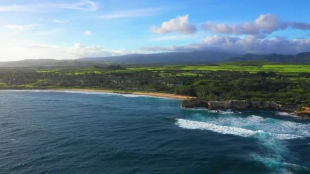 Hawaii Hava Uçuşu Hawaii Ormanı Pasifik Okyanusu Kauai Dağlar — Stok video