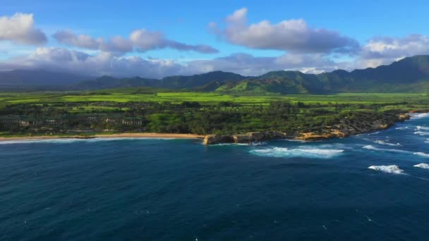 Hawaje Latanie Lotnicze Dżungla Hawajska Kauai Góry Ocean Spokojny — Wideo stockowe