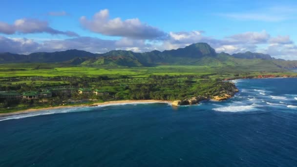 Hawaii Aereo Hawaiian Jungle Kauai Oceano Pacifico Montagne — Video Stock