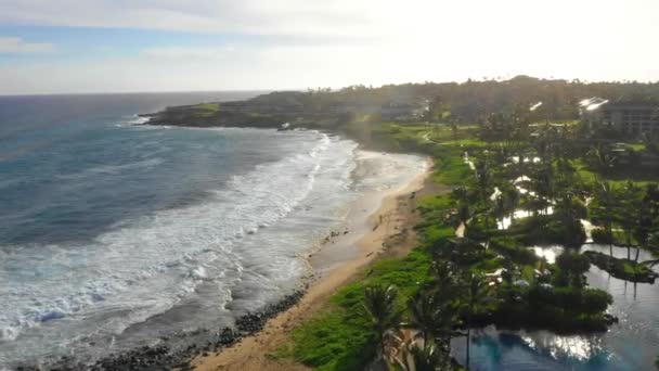 Hawaï Vliegende Lucht Palmbomen Hawaïaanse Kust Stille Oceaan Kauai — Stockvideo
