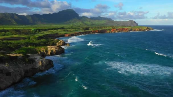 Hawaii Aereo Oceano Pacifico Kauai Hawaii Shoreline — Video Stock