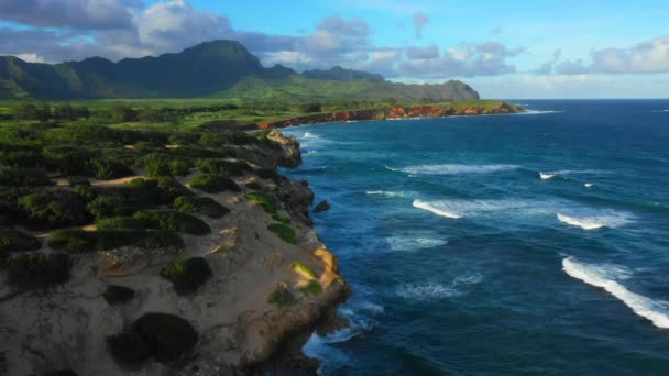 Hawaii Aerial Flying Kauai Oceano Pacifico Hawaii Shoreline — Video Stock