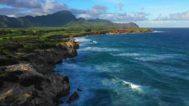 Hawaii Flyg Från Luften Stilla Havet Hawaiianska Kusten Kauai — Stockvideo