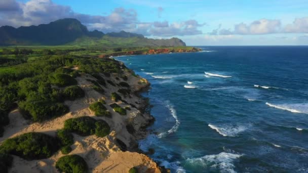 Hawaii Flyg Från Luften Kauai Hawaiianska Kusten Stilla Havet — Stockvideo
