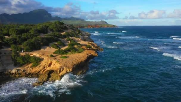 Havaí Voador Aéreo Shoreline Havaiano Oceano Pacífico Kauai — Vídeo de Stock