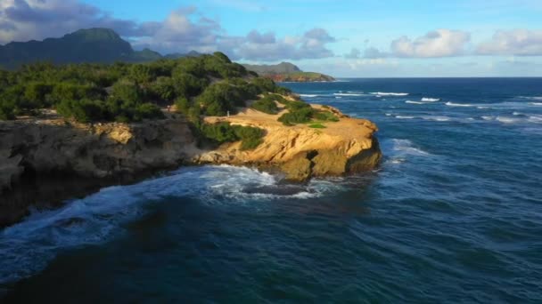 Havaj Letecké Létání Havajské Pobřeží Kauai Tichý Oceán — Stock video