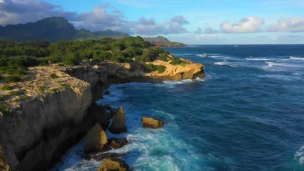 Havaí Oceano Pacífico Voador Aéreo Kauai Shoreline Havaiano — Vídeo de Stock