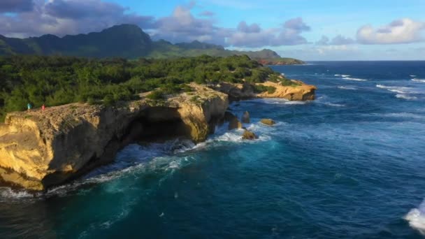 하와이 태평양 하와이 — 비디오