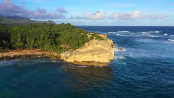 Hawaii Stillehavet Kauai Luftfart Hawaii Kystlinje – stockvideo