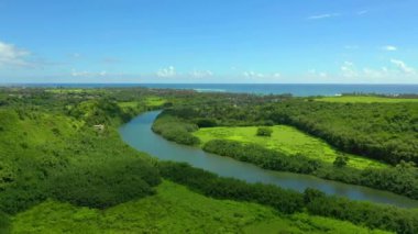 Hawaii, Hava Uçuşu, Pasifik Okyanusu, Kauai, Hawaii Ormanı