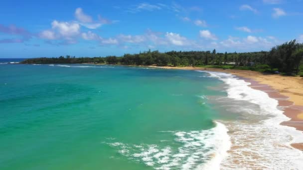 Χαβάη Aerial Flying Ειρηνικός Ωκεανός Hawaiian Beach Kauai Καταπληκτικό Τοπίο — Αρχείο Βίντεο
