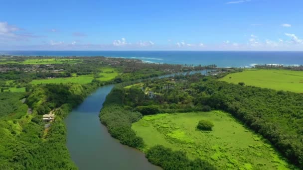 ハワイ 空中飛行 太平洋 ハワイジャングル カウアイ — ストック動画