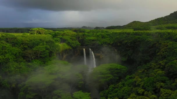 Hawaii Kauai Wailua Falls Paesaggio Fantastico Giungla Hawaiana Vista Aerea — Video Stock