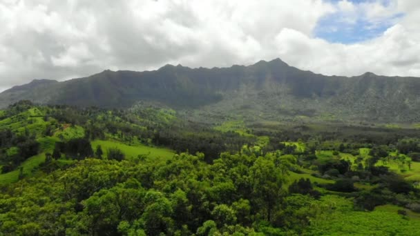 Hawaii Uitzicht Lucht Hawaïaanse Jungle Amazing Landschap Kauai Bergen — Stockvideo