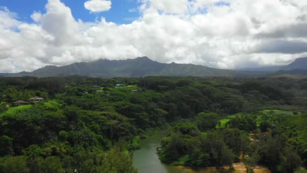 夏威夷 空中飞行 太平洋 考艾岛 夏威夷丛林 — 图库视频影像