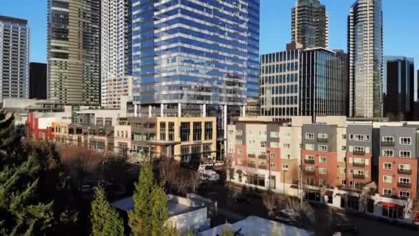 Bellevue Washington State Aerial View Downtown Amazing Landscape — Stock Video