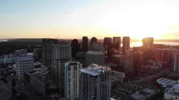 Bellevue Aerial View Downtown Amazing Landscape Washington State — стокове відео