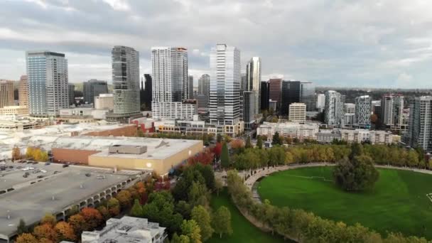 Bellevue Washington State Bellevue Downtown Park Aerial View Amazing Landscape — Stock Video