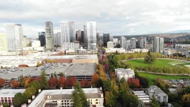 Bellevue Washington State Amazing Landscape Bellevue Downtown Park Air View — Stok video