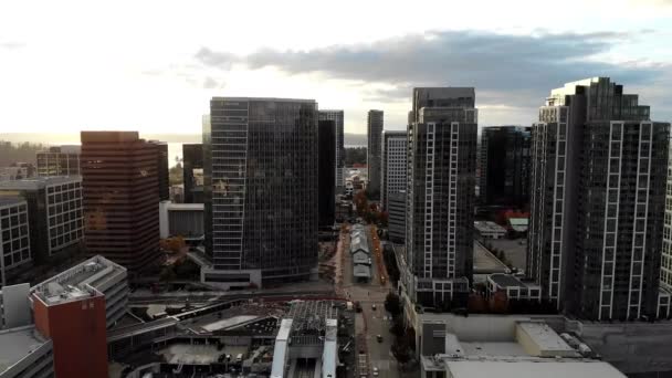 Bellevue Aerial View Washington State Amazing Landscape Downtown — Stok video