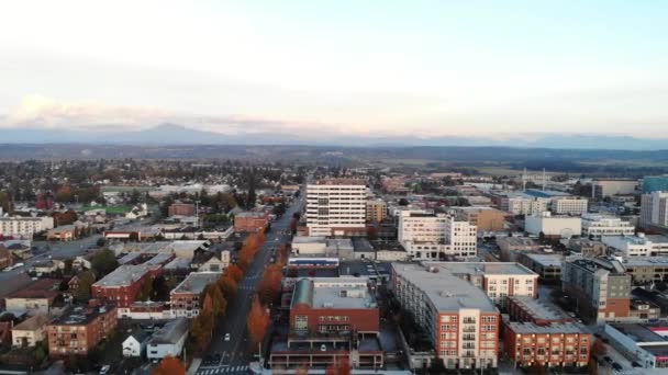 Everett Innenstadt Luftaufnahme Erstaunliche Landschaft Bundesstaat Washington — Stockvideo