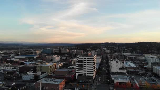 Everett Aerial View Washington State Downtown Amazing Landscape — Stock Video