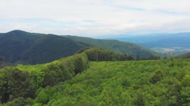 Ukrayna, Karpat Dağları, Güzel Manzara, Orman, Hava Manzarası, Doğa