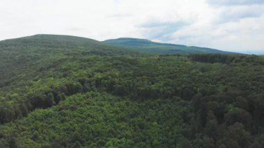 Ukrayna, Karpat Dağları, Güzel Manzara, Doğa, Hava Manzarası, Orman