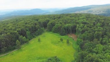 Ukrayna, Karpat Dağları, Hava Manzarası, Güzel Manzara, Orman, Doğa