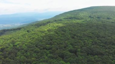 Ukrayna, Karpat Dağları, Hava Manzarası, Orman, Güzel Manzara, Doğa