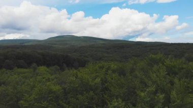 Ukrayna, Karpat Dağları, Doğa, Hava Manzarası, Güzel Manzara, Orman