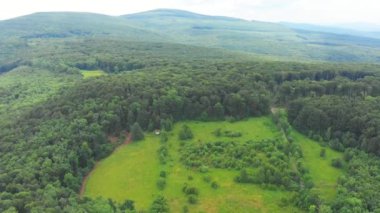 Ukrayna, Karpat Dağları, Doğa, Güzel Manzara, Hava Manzarası, Orman