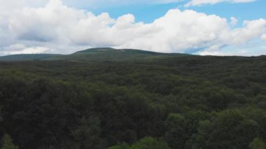 Ukrayna, Karpat Dağları, Doğa, Hava Manzarası, Orman, Güzel Manzara