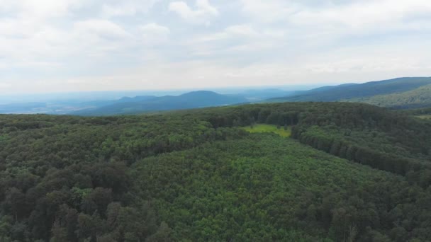 Ukrayna Karpat Dağları Güzel Manzara Doğa Orman Havadan Bakış — Stok video