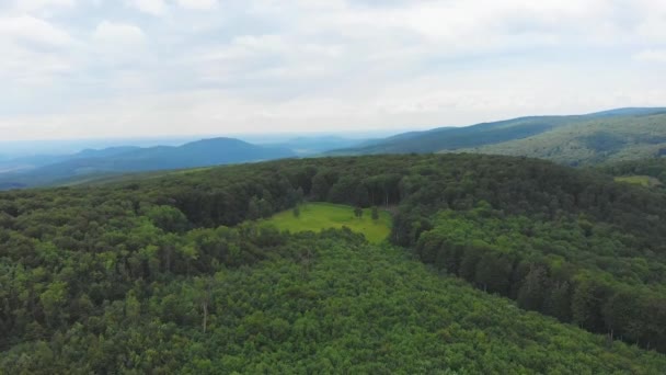 Ucrania Montañas Cárpatos Vista Aérea Hermoso Paisaje Naturaleza Bosque — Vídeo de stock