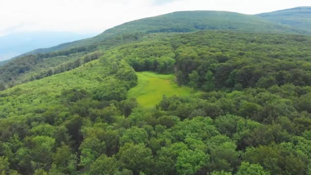 Ucraina Carpazi Natura Bellissimo Paesaggio Foresta Vista Aerea — Video Stock