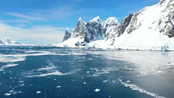 Antarktida Jižní Pól Letecký Výhled Antarktický Oceán Ledové Hory Úžasná — Stock video