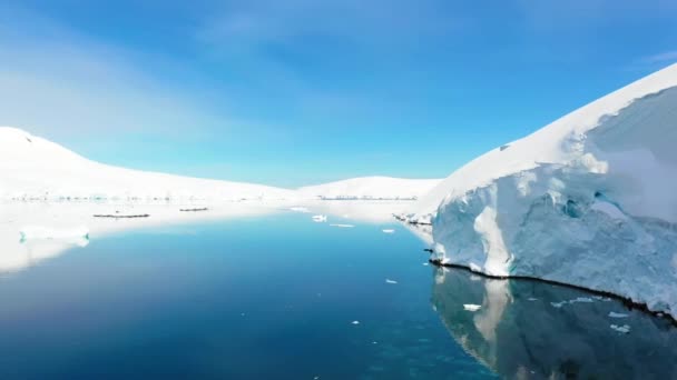 Antarctica South Pole Aerial View Antarctic Ocean Amazing Landscape Icebergs — Vídeos de Stock