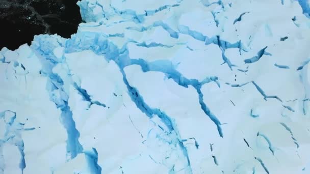 Antarktika Güney Kutbu Antarktika Okyanusu Nanılmaz Manzara Hava Manzarası Buzdağları — Stok video