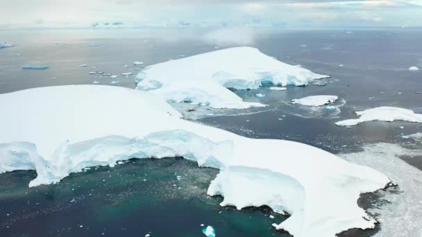 Antarctica South Pole Antarctic Ocean Amazing Landscape Icebergs Aerial View — Vídeos de Stock