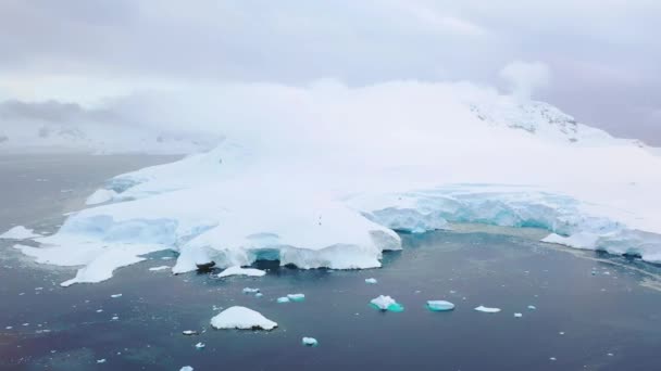 Antarctica Icebergs Aerial View Antarctic Ocean South Pole Amazing Landscape — Vídeos de Stock
