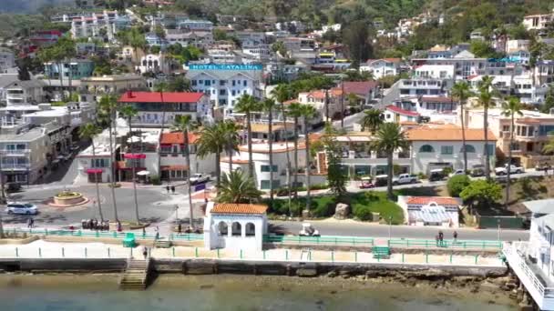アバロン カリフォルニア州 太平洋岸 空中ビュー サンタカタリナ島 — ストック動画