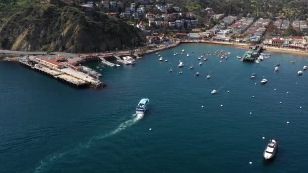 Avalon Aerial View Pacific Coast Santa Catalina Island California — Stock video