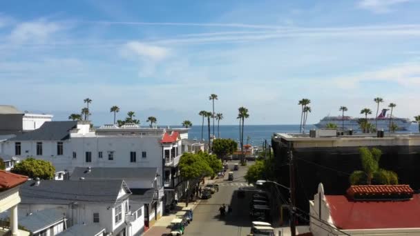 Avalon Aerial View California Santa Catalina Adası Pasifik Sahili — Stok video