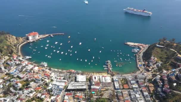 Avalon Pacific Coast California Aerial View Santa Catalina Adası — Stok video