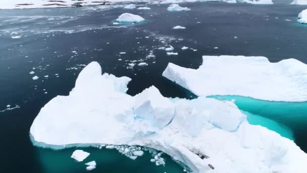 Antártida Icebergs Océano Antártico Polo Sur Vistas Los Drones Paisaje — Vídeos de Stock